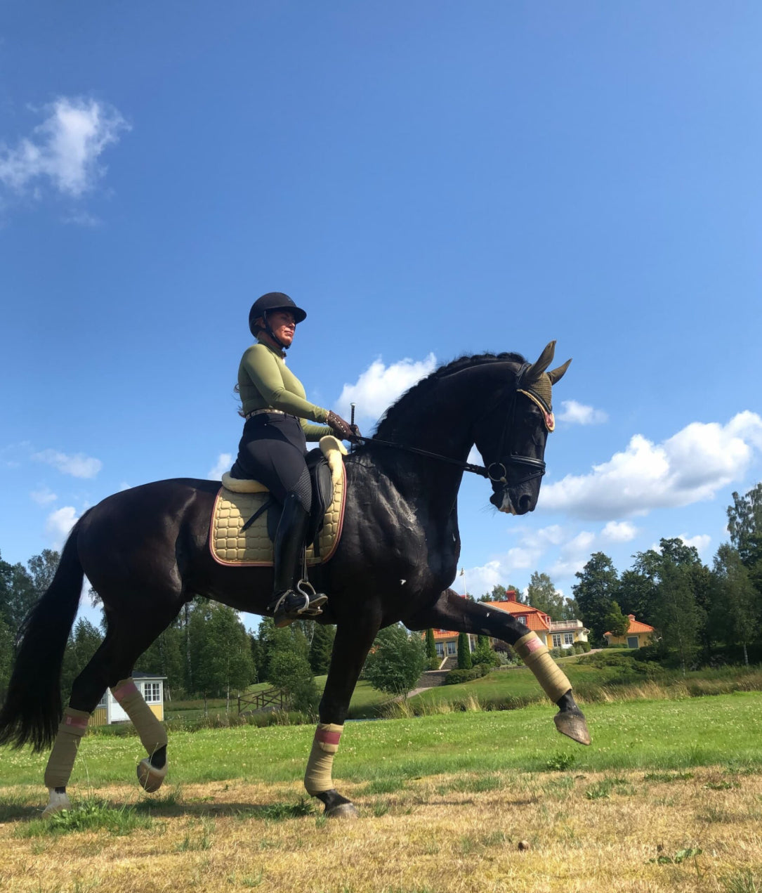 Equito - tapis dressage Olive Blush