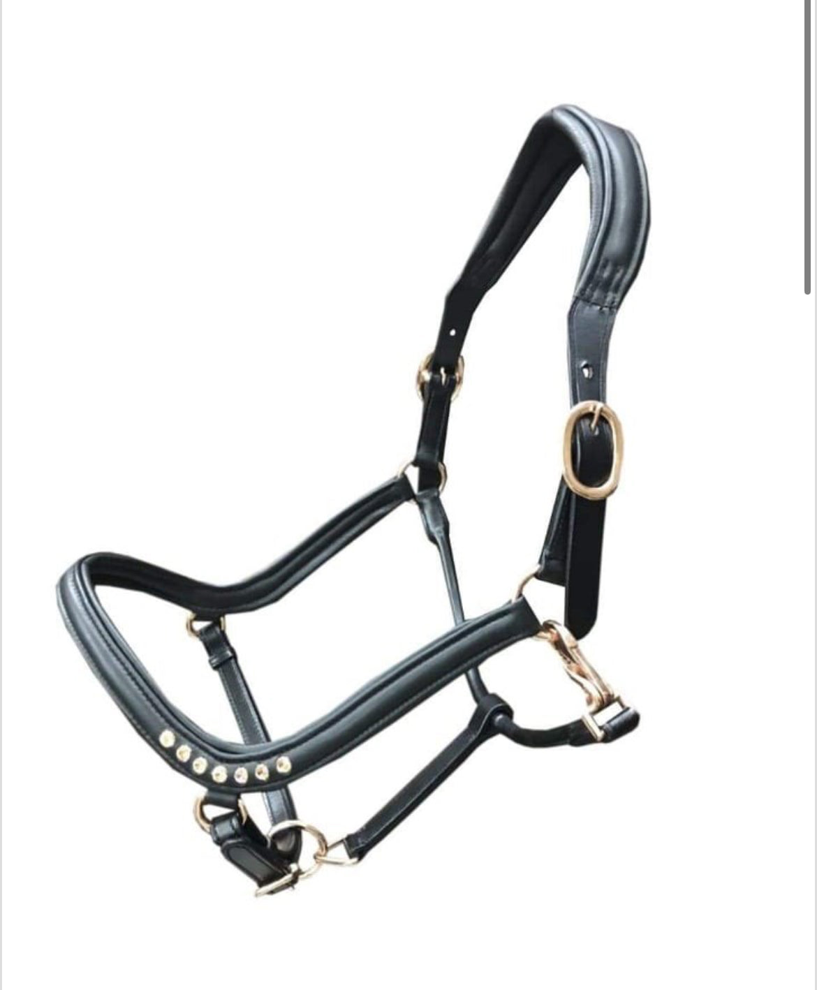 HB - Licol cuir anatomic rosegold