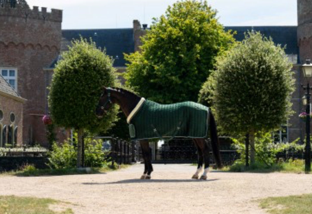 HB - Couverture spécial velvet - 2 coloris