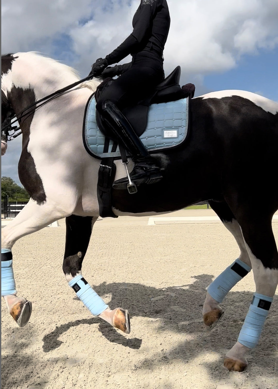 Equito - tapis dressage Morning Sky
