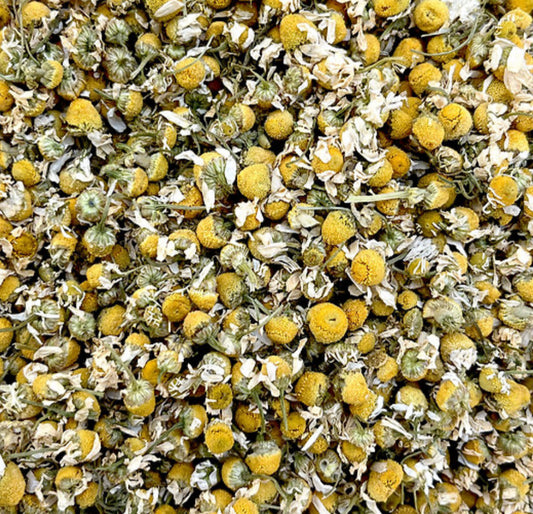 Elegane - Camomille bio