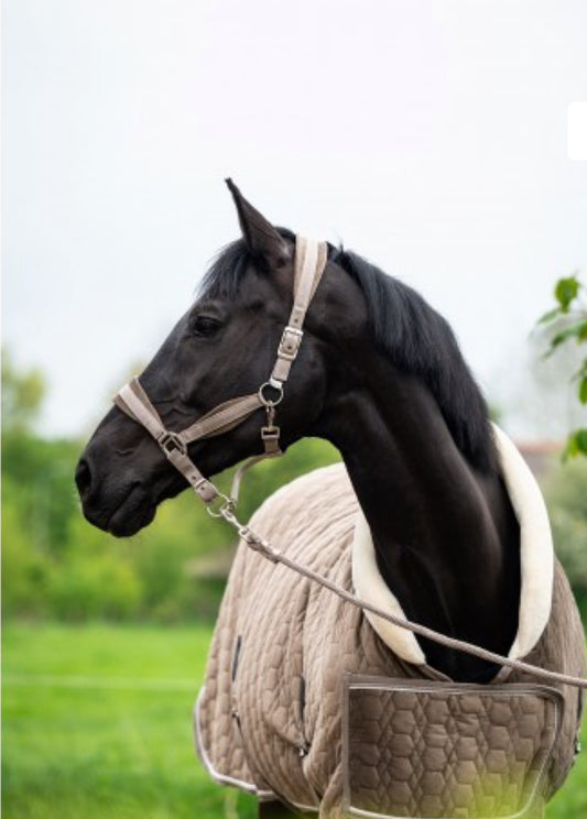 HB -licol spécial velvet - 2 coloris