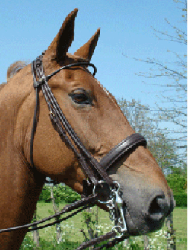 HB - bride Monaco cuir rond - 2 coloris