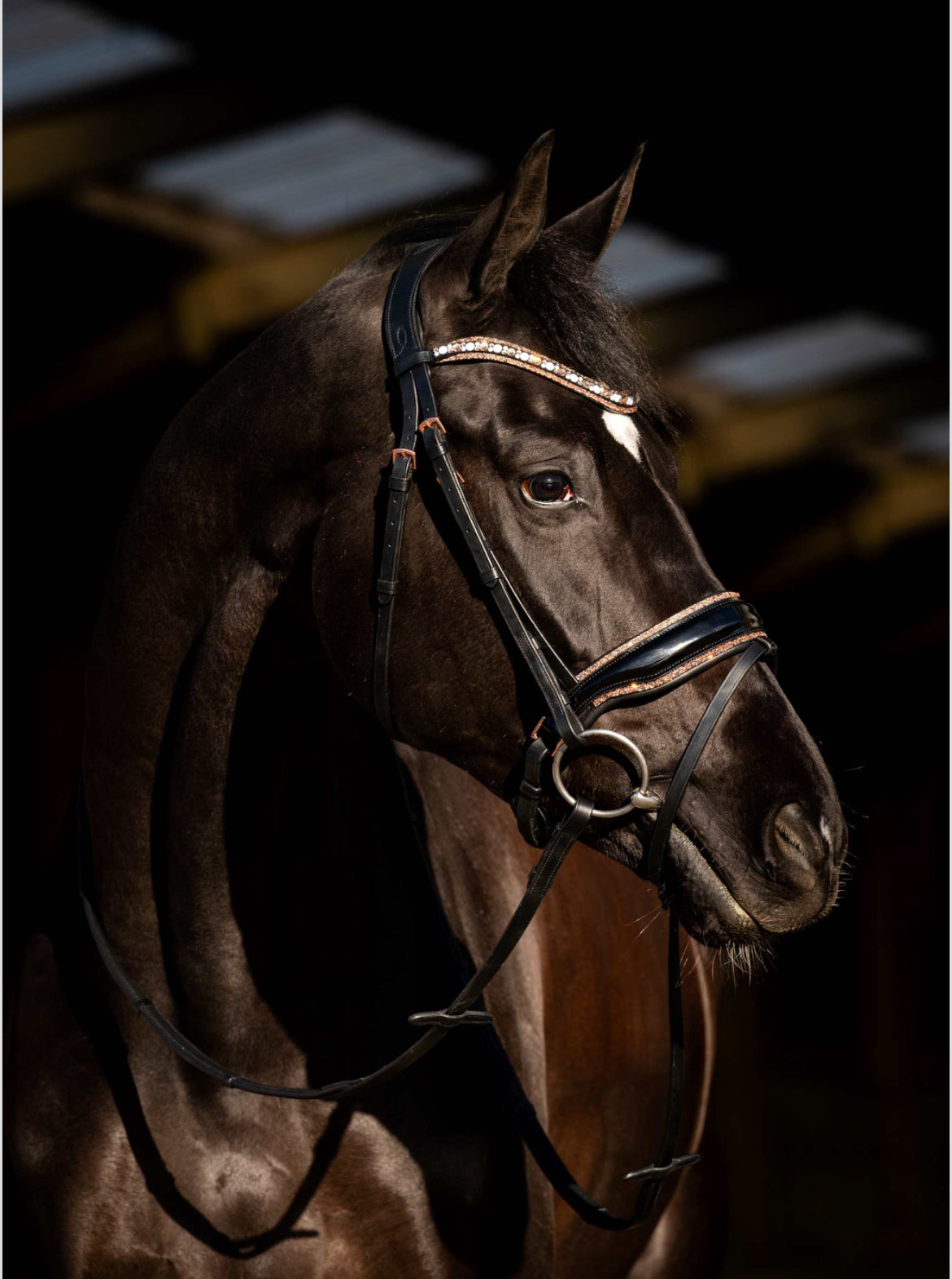 HB - bridon Copper sky