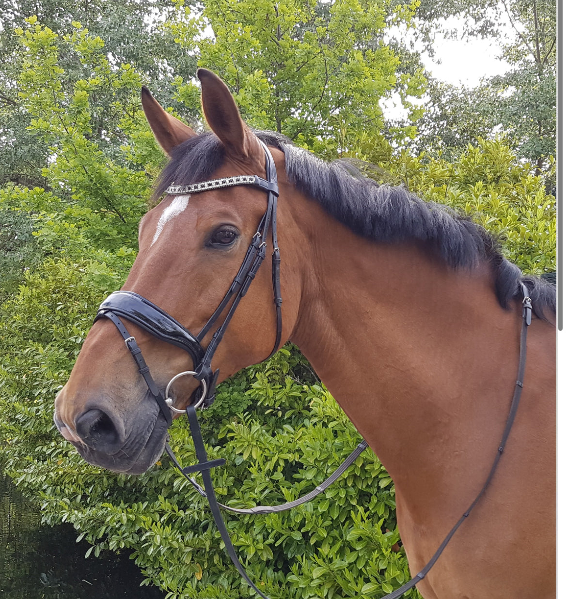 HB - bridon Jan van Westerhuis