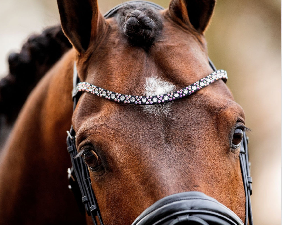 HB - frontal Butterfly