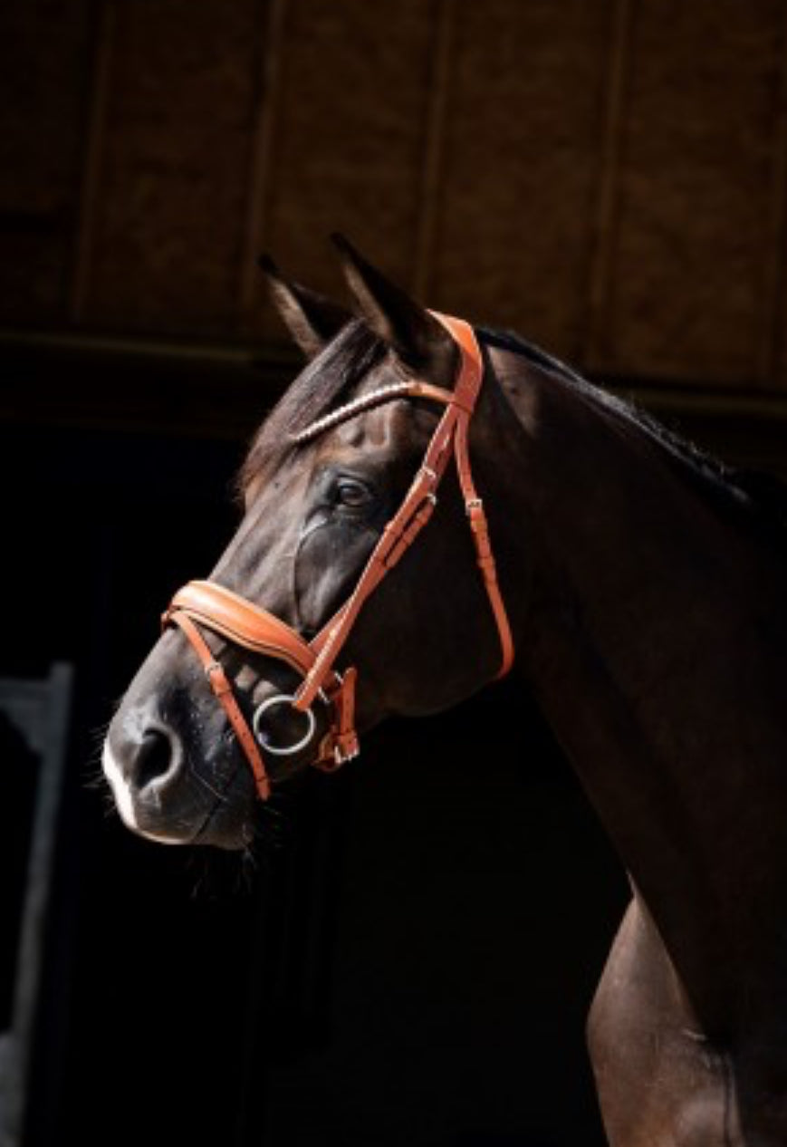 HB - bridon Chestnut