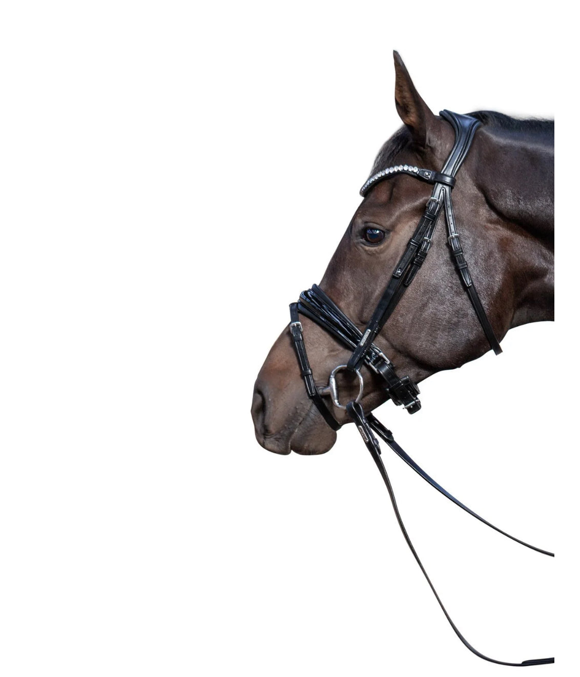 Utzon Equestrian - Bridon essentiel