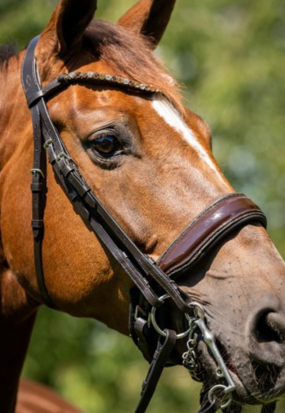 HB - bride special for you brun - strass gold