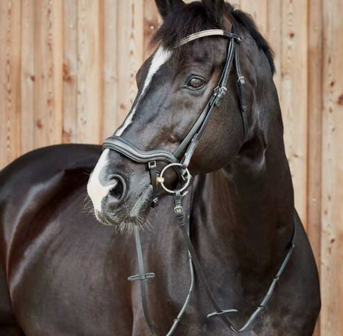 Horze - Bridon Highbury