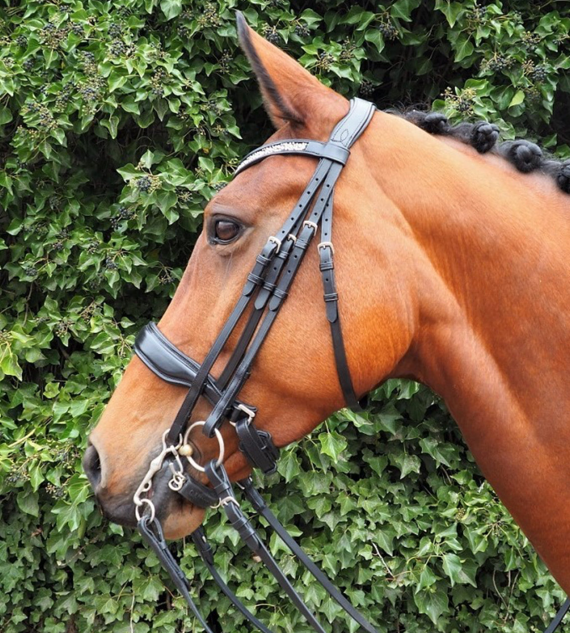 HB - bride Dark pleasure  - 2 coloris