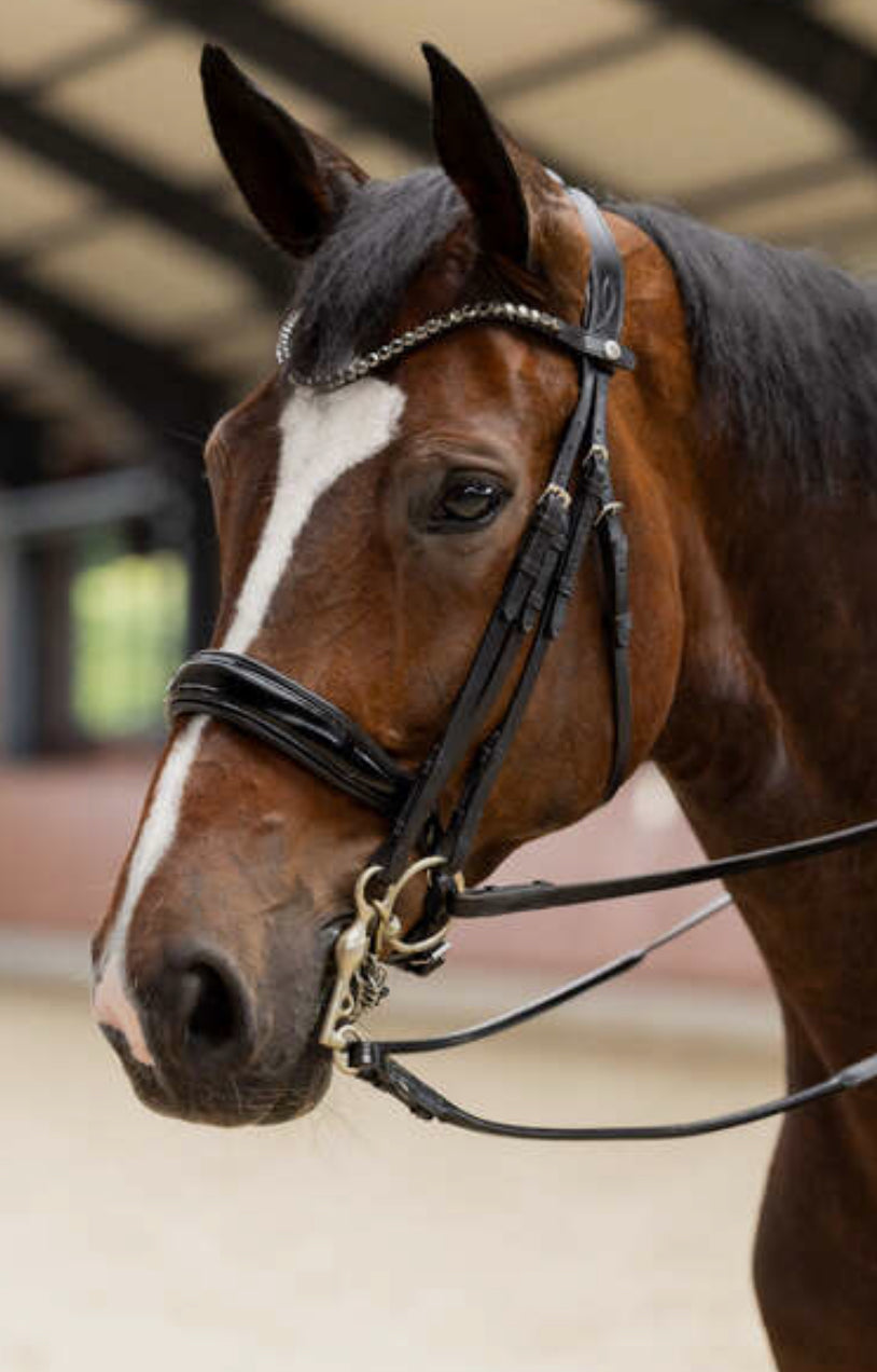 Horze - Bride Glamourdale