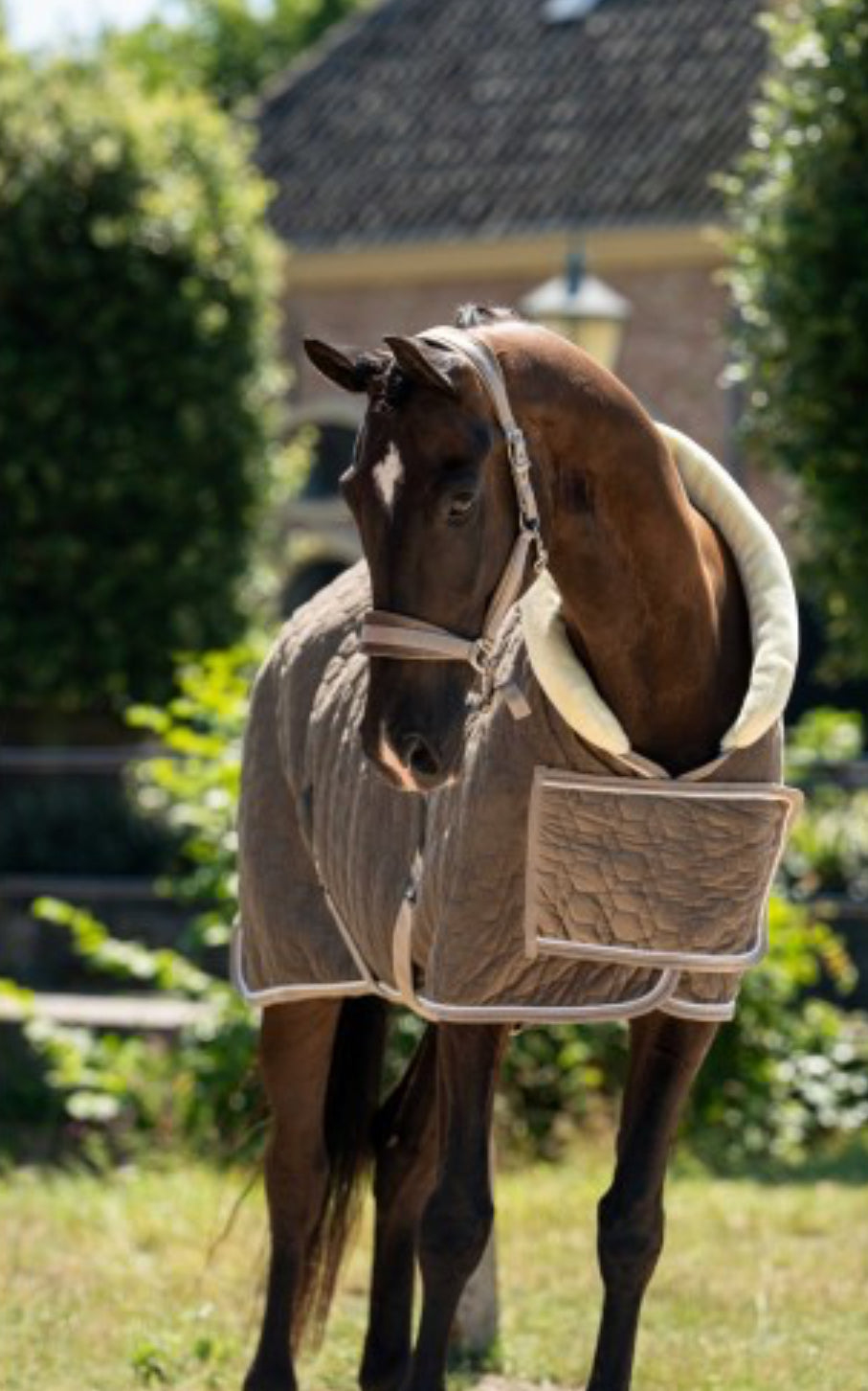 HB - Couverture spécial velvet - 2 coloris