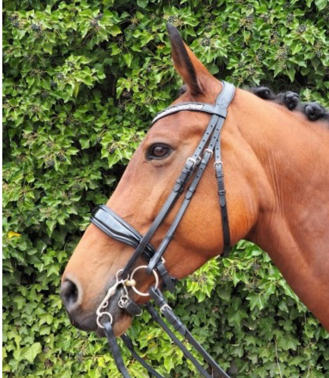 HB - bride Great pleasure verni - 2 coloris