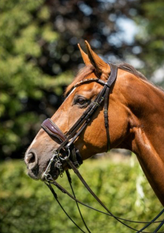 HB - bride special for you brun - strass gold