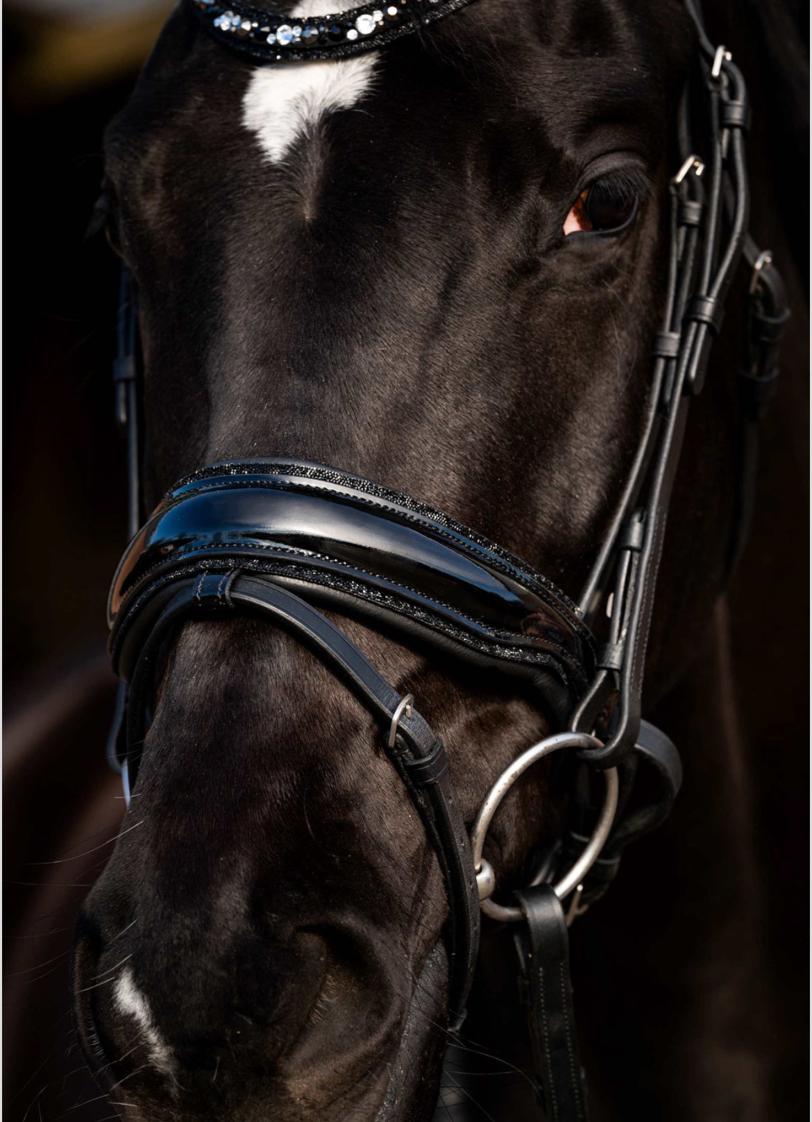 HB - bridon Dark Eagle