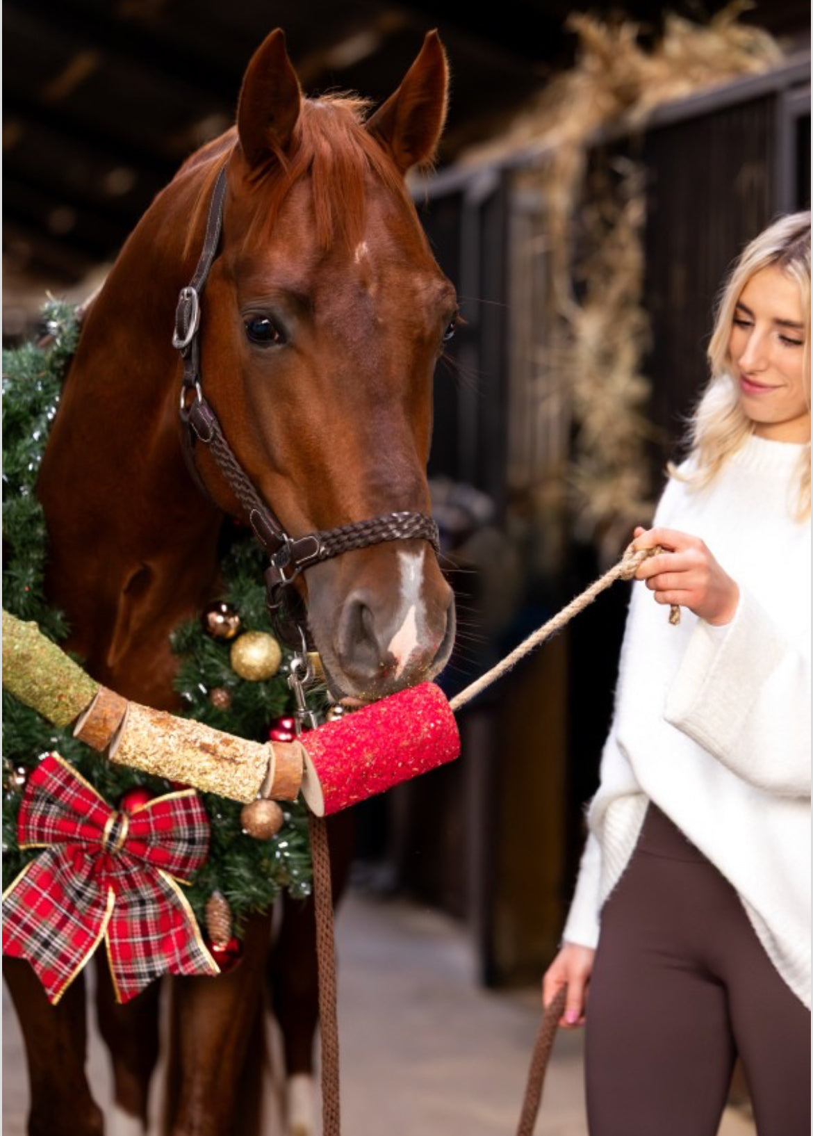 Candy horse - jouet bois friandises édition xmas