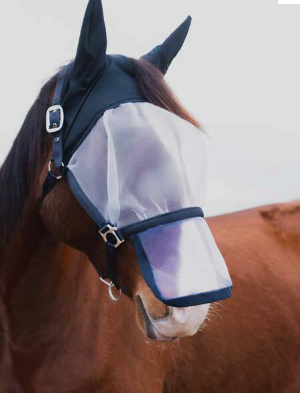 Horze - Licol masque anti mouche