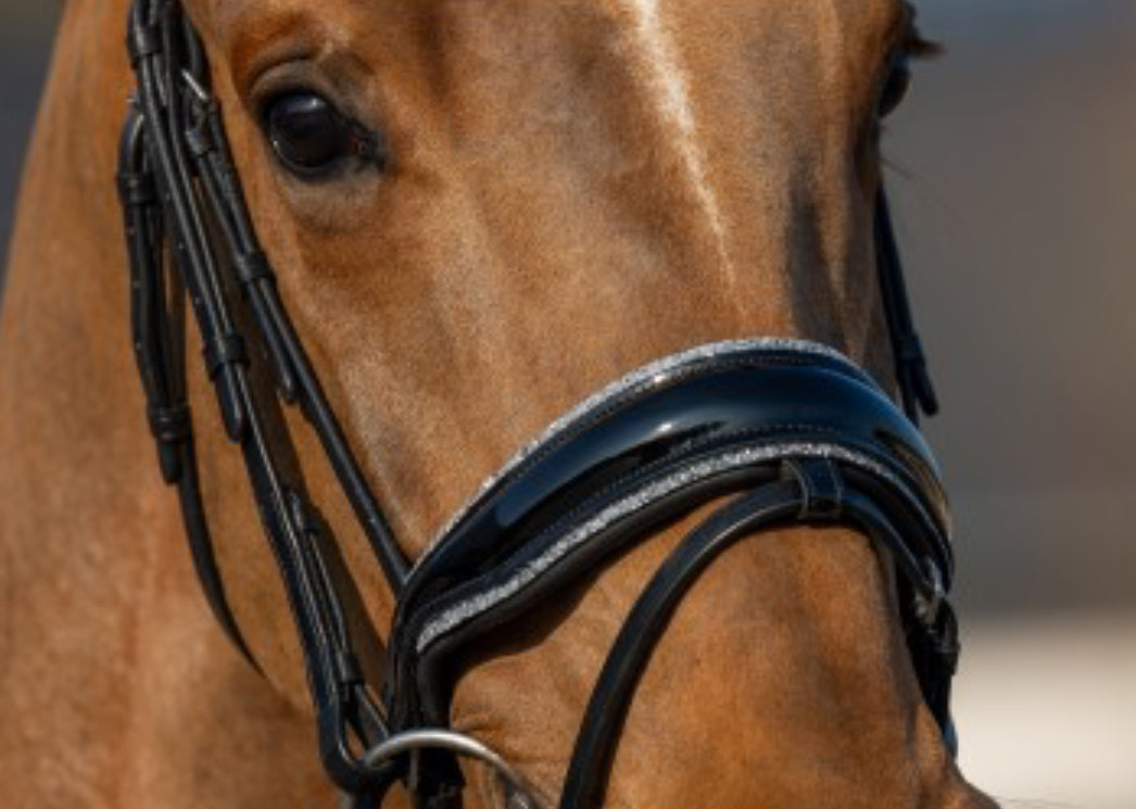 HB - bridon it so special - 4 coloris