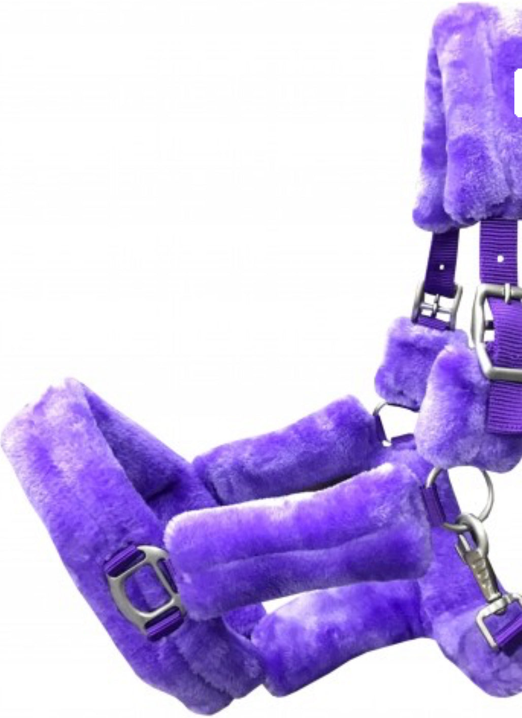 HB - licol Teddy - 5 coloris