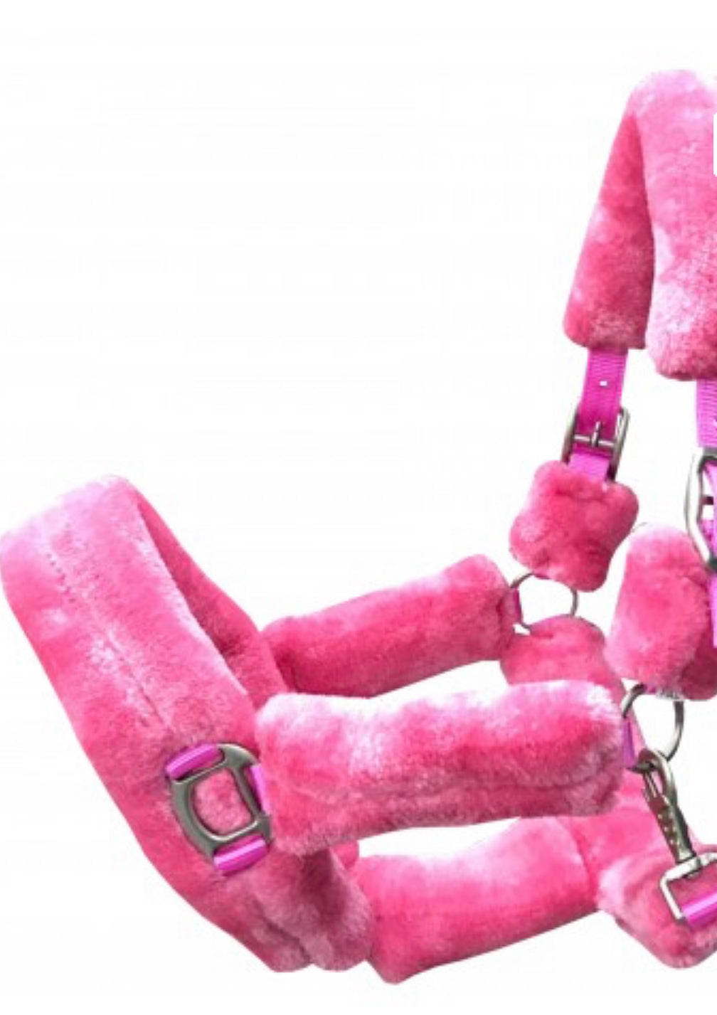 HB - licol Teddy - 5 coloris