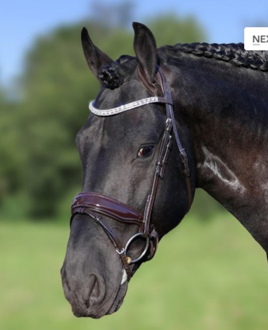 HB - bridon Chicago brun