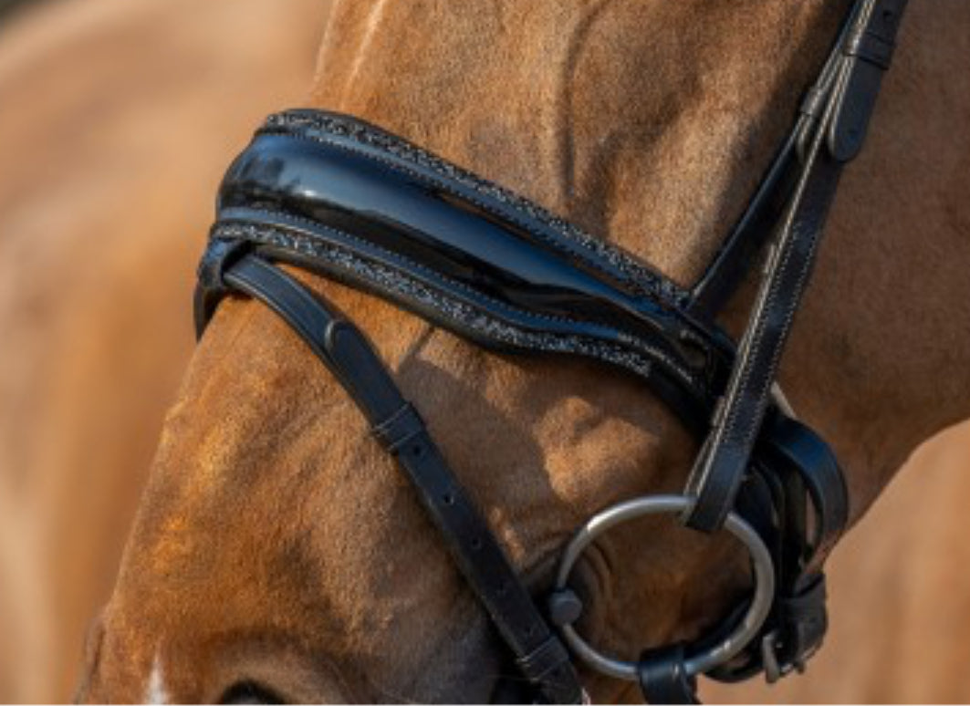 HB - muserolle bridon rocky - strass noir