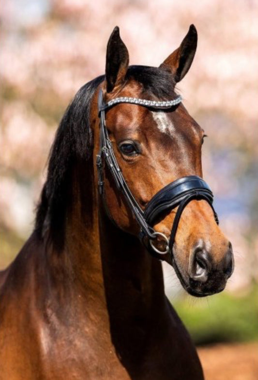 HB - bridon RoseGold