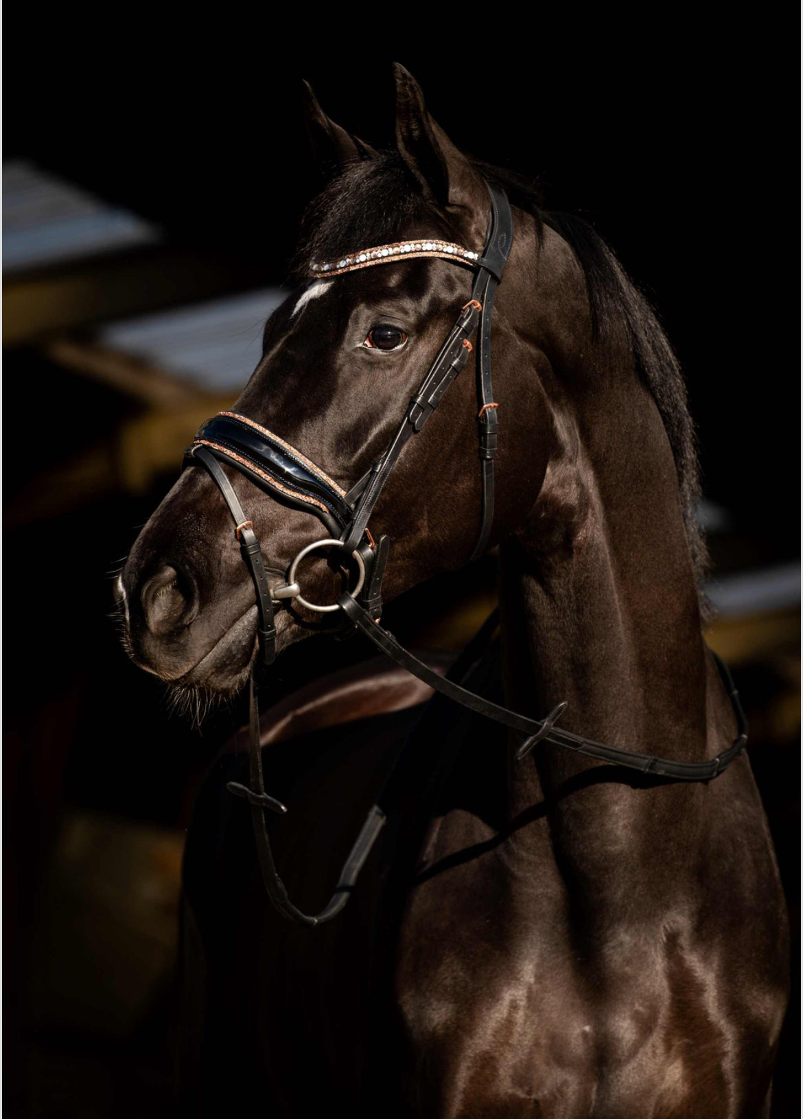 HB - bridon Copper sky