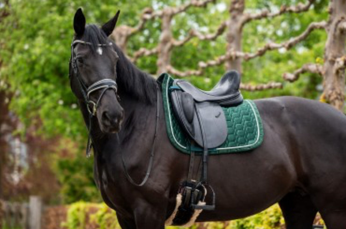 HB -tapis spécial velvet - 2 coloris