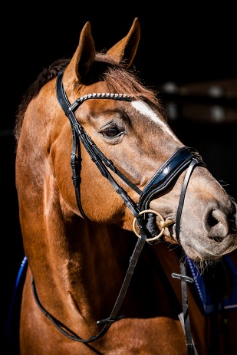 HB - bridon Spécial Guy - 2 coloris