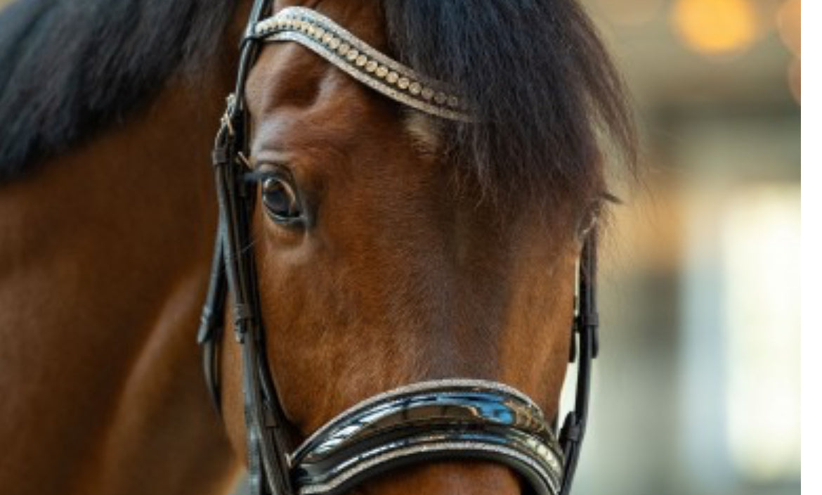 HB - bride on in a million - 4 coloris