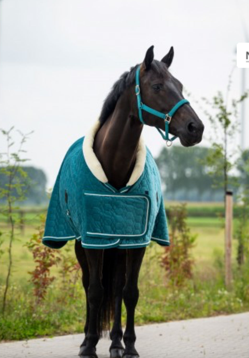 HB - Couverture Tropical - 2 coloris