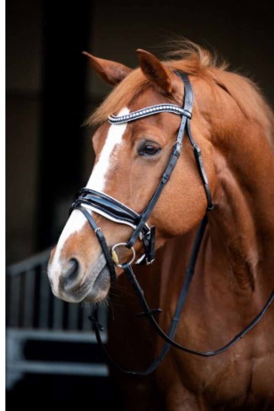 HB - bridon Snowflake  - 2 coloris