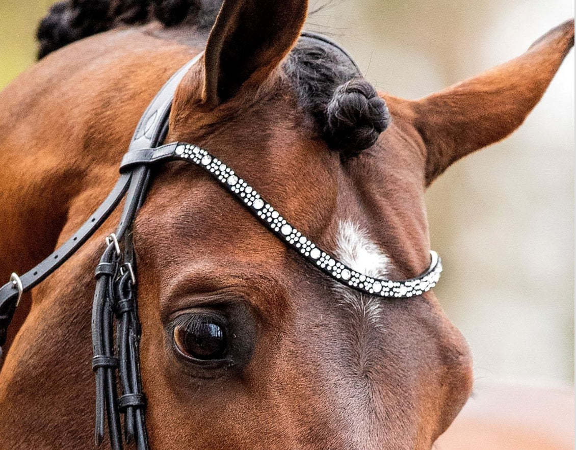 HB - frontal Invisible