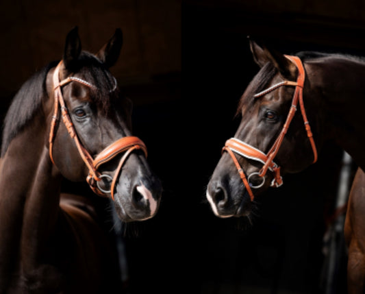 HB - bridon Chestnut