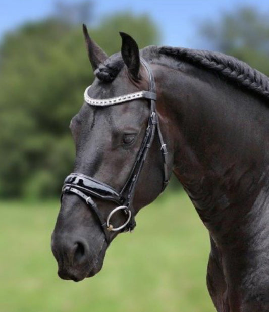 HB - bridon Jan van Westerhuis