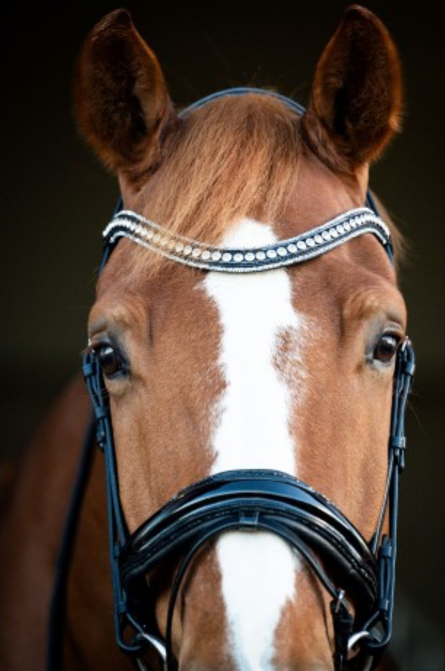 HB - bridon Snowflake  - 2 coloris