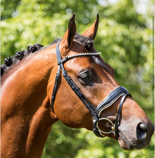 HB - bridon Grandprix