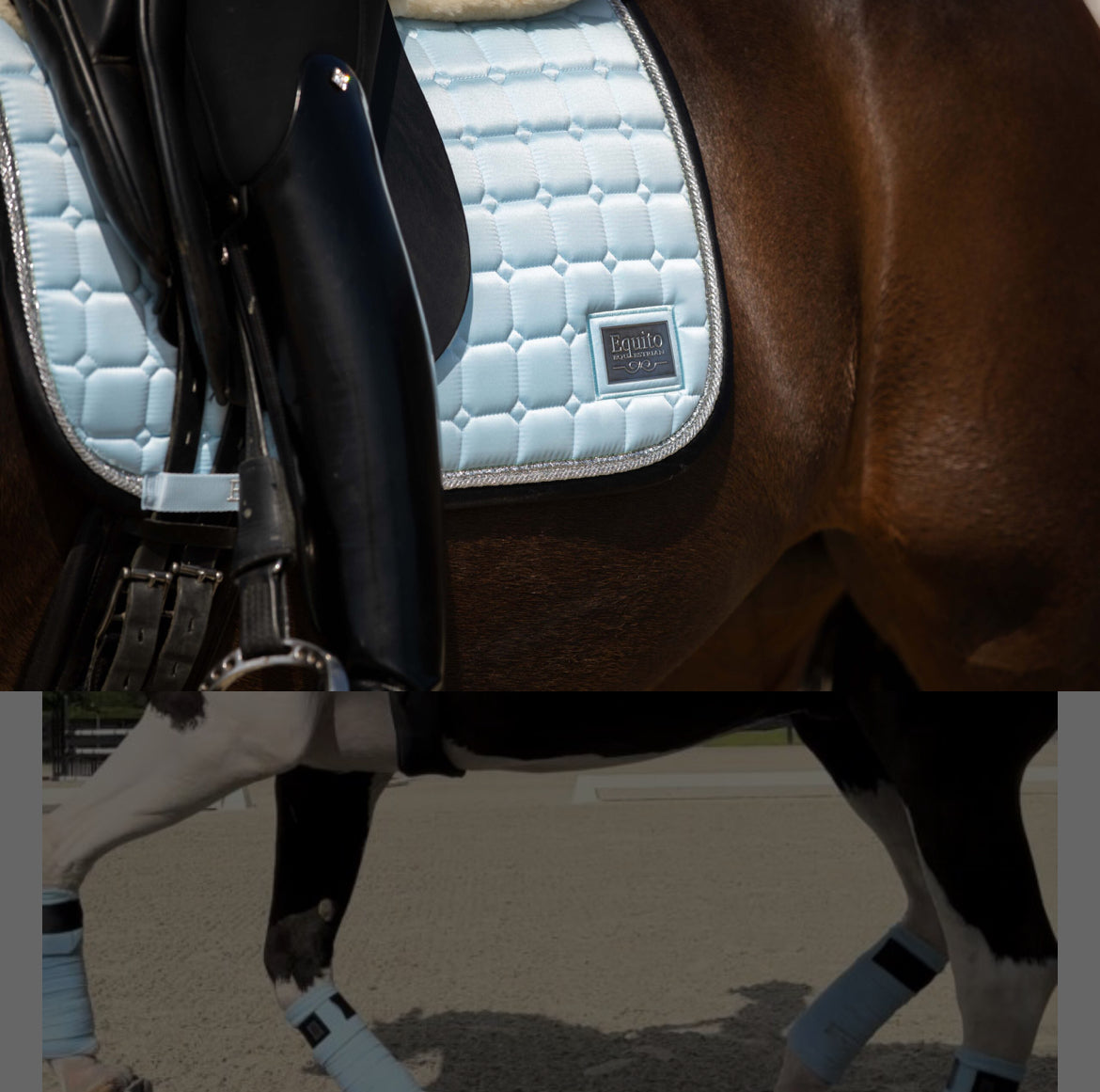 Equito - tapis dressage Morning Sky