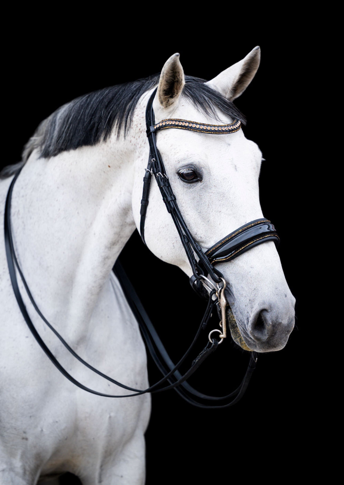 HB - bride all you needed - gold