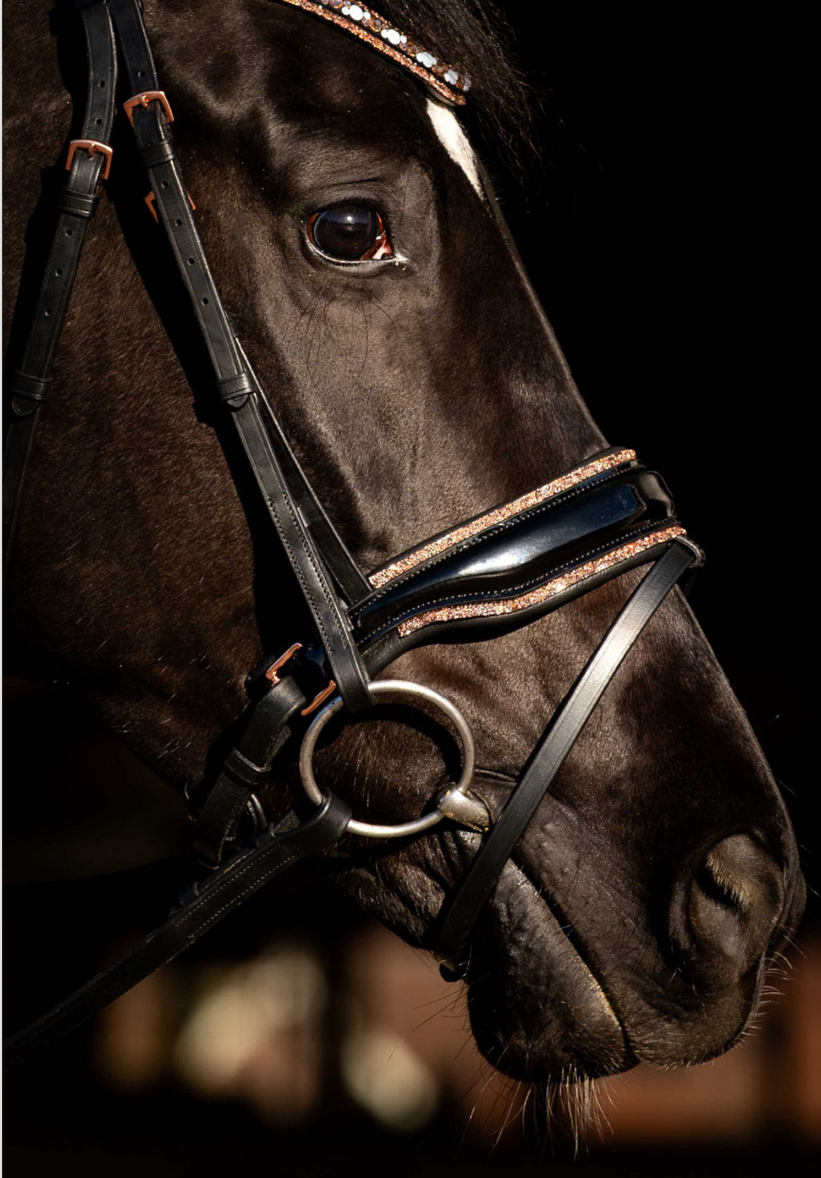 HB - bridon Copper sky