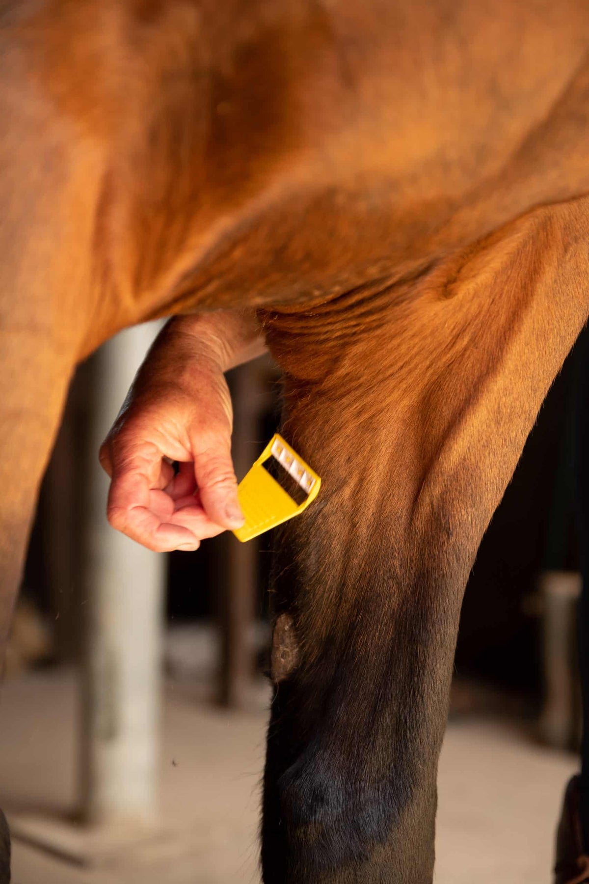 Smart Grooming Boîte Equi-Shave, 50 pièces, retouches rapides, rasoir compact