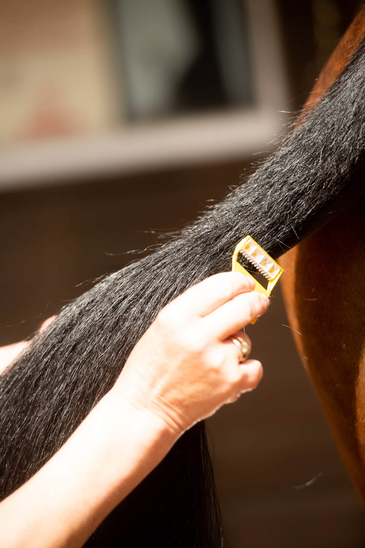 Smart Grooming Boîte Equi-Shave, 50 pièces, retouches rapides, rasoir compact