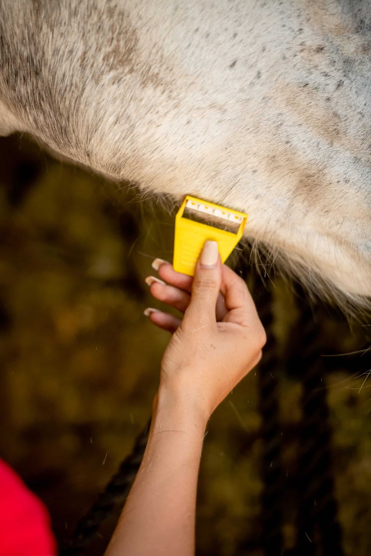 Smart Grooming Boîte Equi-Shave, 50 pièces, retouches rapides, rasoir compact