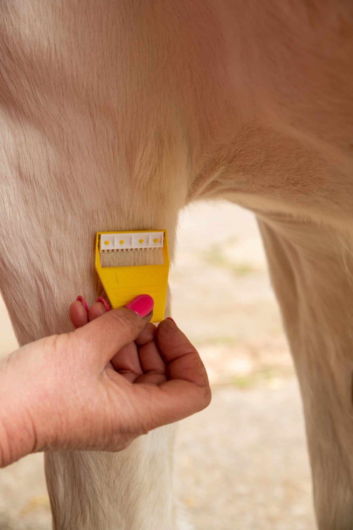 Smart Grooming Boîte Equi-Shave, 50 pièces, retouches rapides, rasoir compact
