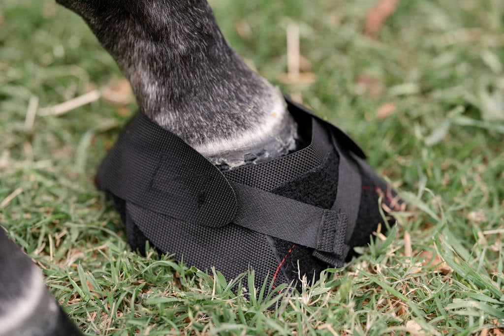 Ice Horse Hoof Wraps Bandage, protection pratique du sabot, aide à réduire la pression sur le sabot