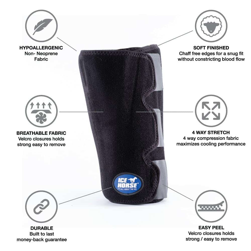 Ice Horse Hock Wrap, 6 inserts froids inclus, enveloppes de cryothérapie pour le jarret