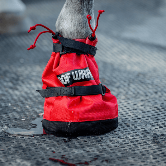 Ice Horse Hoof Wraps Soaker, botte de trempage pour le traitement ciblé du sabot, sans complications