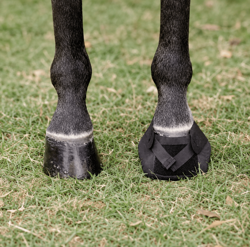 Ice Horse Hoof Wraps Bandage, protection pratique du sabot, aide à réduire la pression sur le sabot